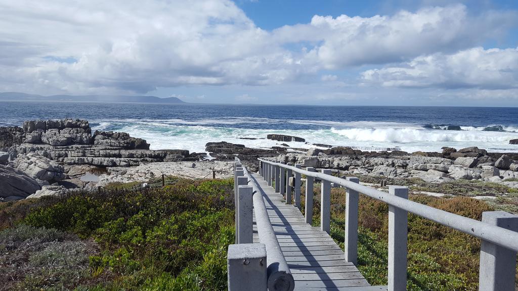 Whale View Self Catering Apartment Hermanus Exterior foto